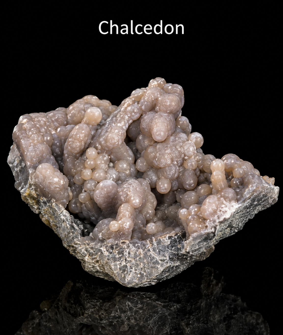 Chalcedon