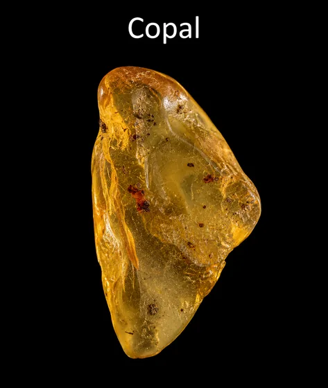 Kopal