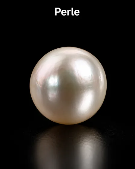 Perle
