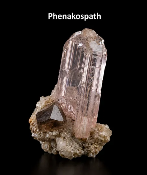 Phenakospath