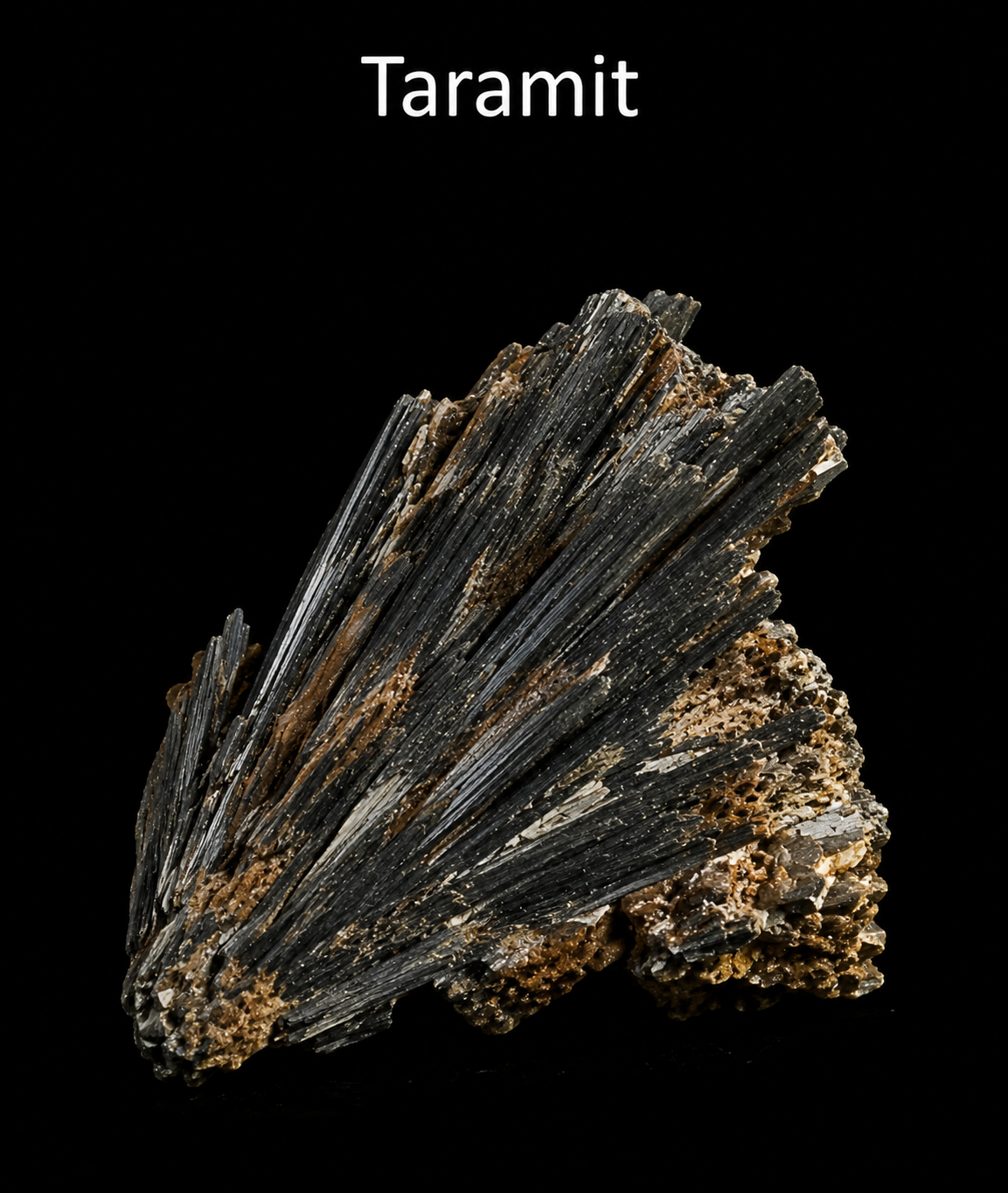 Taramit